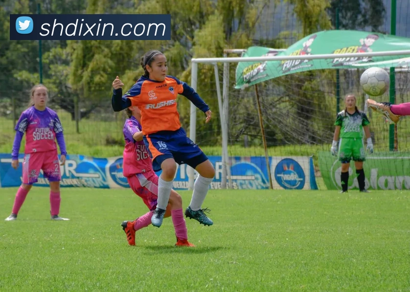 世界杯体彩app服务体系